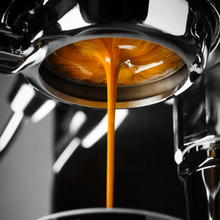 Kaffee Bestseller kaufen - Kaffeestudio Shop