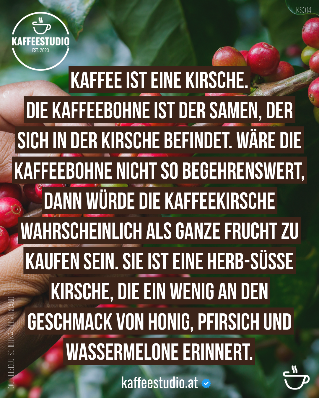 KAFFEEWISSEN KAFFEEKIRSCHE - KAFFEE IST EINE KIRSCHE.
DIE KAFFEEBOHNE IST DER SAMEN, DER SICH IN DER KIRSCHE BEFINDET. WÄRE DIE KAFFEEBOHNE NICHT SO BEGEHRENSWERT, DANN WÜRDE DIE KAFFEEKIRSCHE WAHRSCHEINLICH ALS GANZE FRUCHT ZU
SAT-NESTIN
KAUFENOEN.JEOT ENE HERD-USSI
KIRSCHE, DIE EIN WENIG AN DEN GESCHMACK VON HONIG, PFIRSICH UND WASSERMELONE ERINNERT.